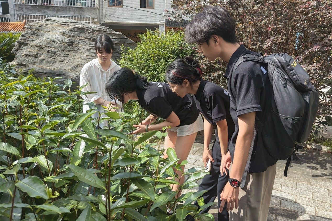 402永利集团