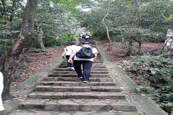 402永利集团