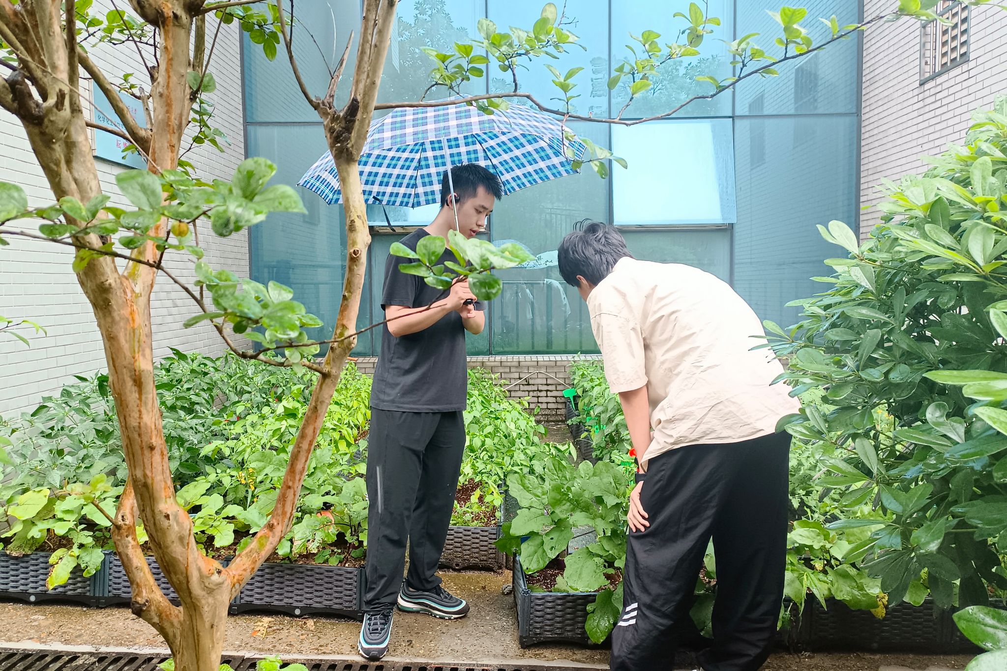 402永利集团
