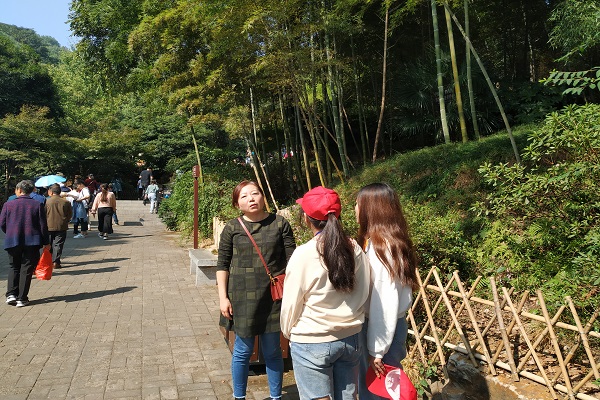 402永利集团